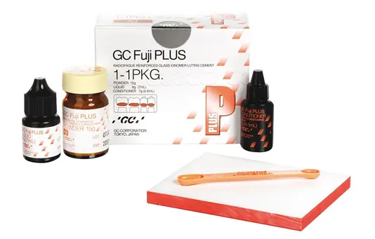 FUJI PLUS PORTION powder, liquid et conditioner A3 - 001409 - GC